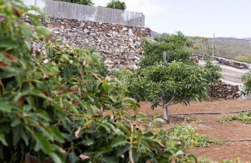 Home2Book Fantasy Villa & Nature, Private Pool - Foto 48