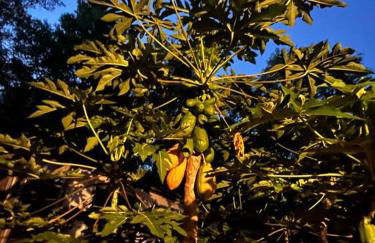 Half Moon Lake property - Foto 24