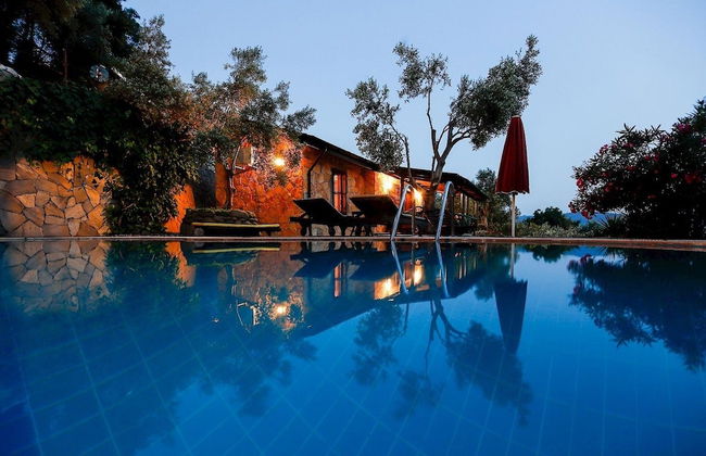 Terra Punto - Photo 4