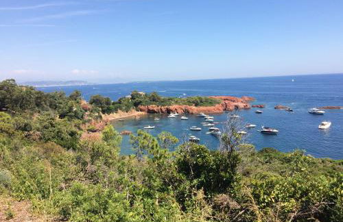 T2 en Rez-de-jardin Fleur de Sel - Foto 22