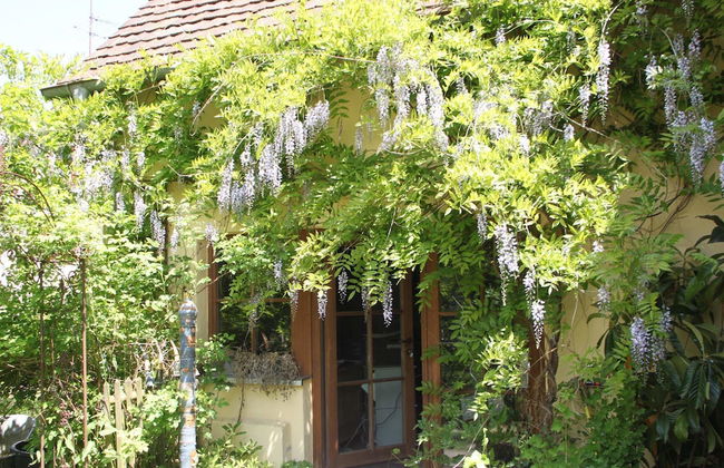 Vogtshof Rottweil - Foto 24