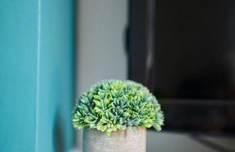 2 Bedroom House- Contractors - Families - Sleeps 4 - Foto 38