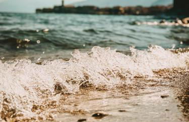 La Rondine - Foto 25