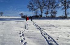 Gîte Volcans - 1-4 pers, au calme à 20 mins de Vulcania, Puy-de-Dôme et Lemptegy, 35 mins du Mont Dore et du Sancy - Foto 34