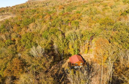 Eagles Nest Cabin with TN River Views - Foto 54