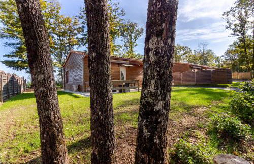 Gite 2 de l'Orée du Bois - Foto 26