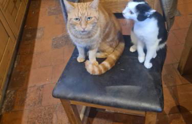 Church Farm Accommodation - Foto 34