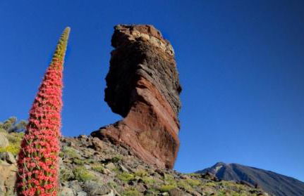 Casa rural Alessia with jacuzzi ,garden & swimming pool - Foto 25