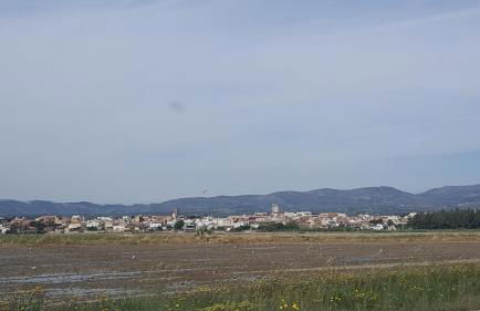 Apartamento El Fangar - Foto 44