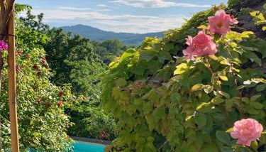 Il Pezzatino - Foto 2