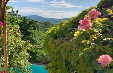 Il Pezzatino - Foto 2