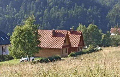 Domki pod Honem w Cisnej - Foto 21