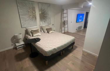 Loft ravissant 45m2 Jacuzzi RVB NIGHT 2 ÉTABLISSEMENT FERMÉ DÉFINITIVEMENT - Foto 16