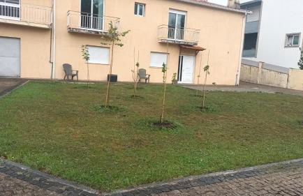 Pousada starlite - Foto 5