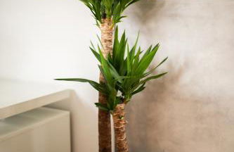 HUGOS Studio Apartment - Foto 16