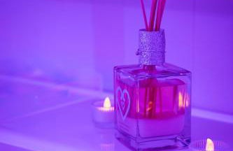 Love room à 30 mn des plages et de Vannes - Foto 22