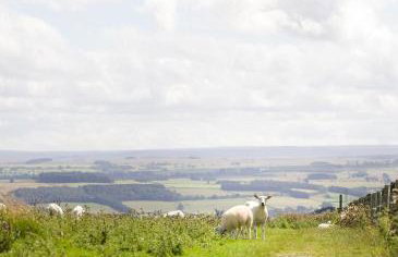 The Hat Shop - Photo 17