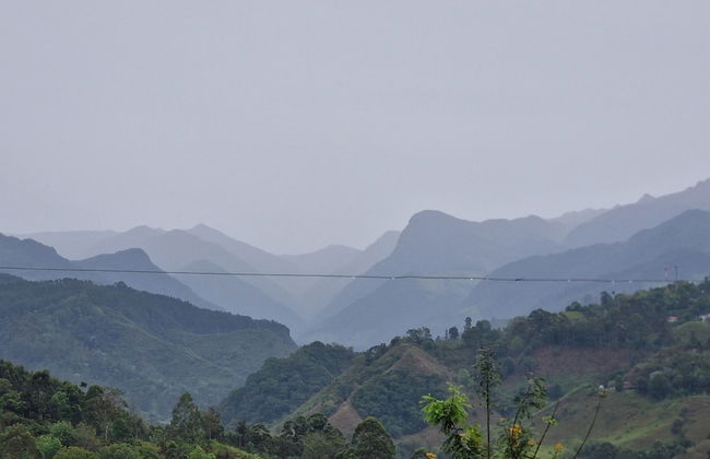 Casa Tien - Photo 64