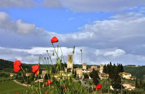 Il Fiorino di Badia - Foto 33