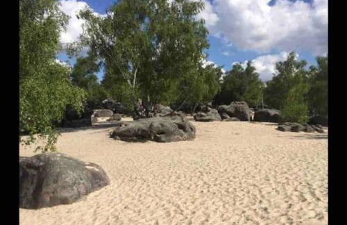 Milly COCOON / centre ville - Foto 9