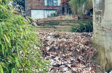 House With Private Jetty On Neversdorfer See - Foto 31