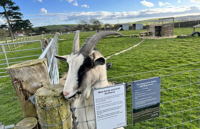 Tithe Barn Little Upton Farm - Foto 26