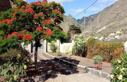 Gomera Garden. Vista Mar Altozano - Foto 47