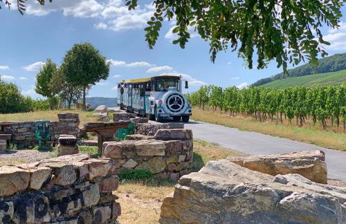 Fewo Zum Malerwinkel - Rüdesheim - Foto 14