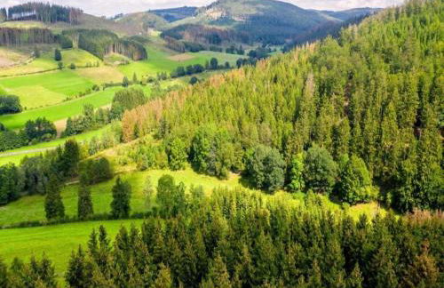 Gemutliche Wohnung fur 4 Personen - Foto 63
