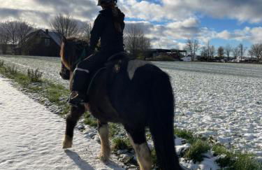 Ostseebauernhof Schönhagen - Foto 47