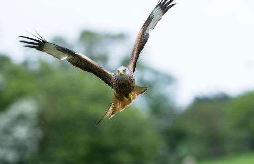 2 Bed in Brecon oc-59734 - Foto 36