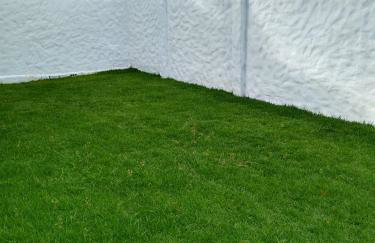 GREEN HOUSE - Foto 14