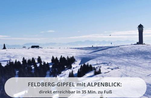 FeWo Schwarzwaldschick Feldberg I Direkt an der Piste I Whirlwanne I Tiefgarage I Skipass vergünstigt - Foto 64
