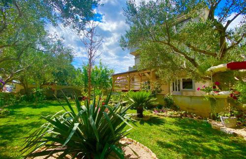 Apartman Ana - Photo 9