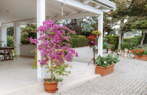 Villa Cercis - Puglia - Foto 65