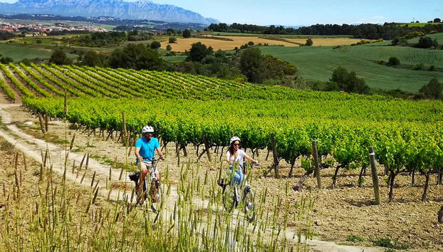 Penedes Vineyards Bike Tour - Foto 2