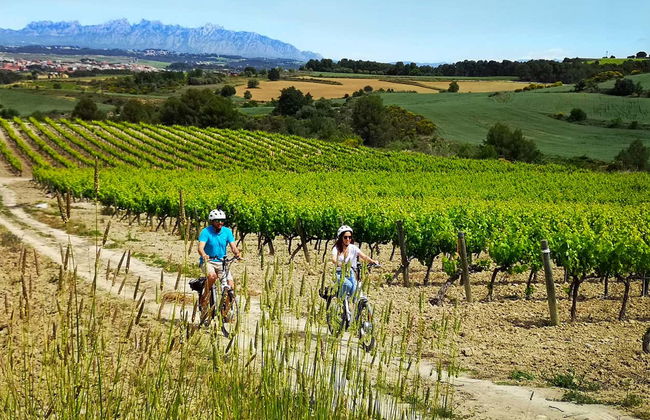 Penedes Vineyards Bike Tour - Photo 2