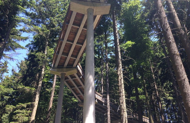 Welcoming Chalet Near Forest in Rohrnbach - Foto 61