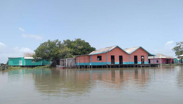 Escursione alla Ciénaga Grande di Santa Marta - Foto 5