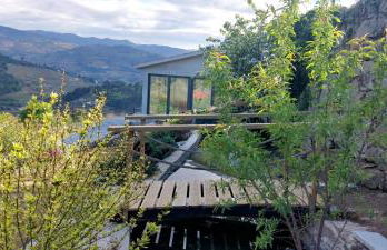 Bosque da Fantasia - Foto 10