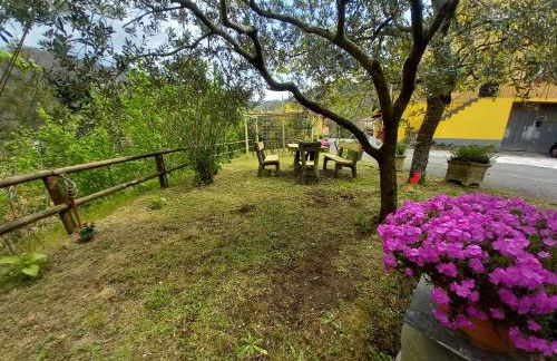 Il sogno di Gaggiuin - Foto 22