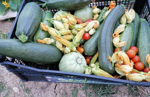 Agriturismo Etico Le Grazie - Foto 12