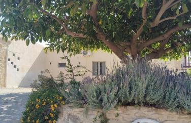 Minfot Local House - Photo 49