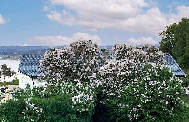 6 Person Holiday Home in Hoviksnas-by Traum - Photo 28