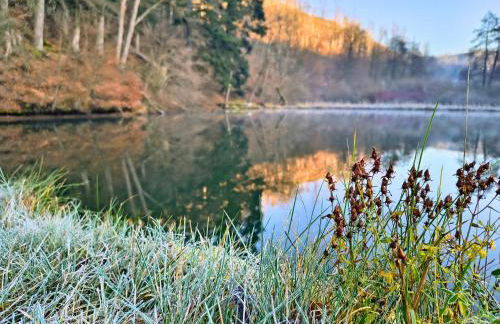 Ferienwohnung Mühlenteich by Hoheisel, Zaubernuss, Parken, Wanderstart, WLAN - Foto 45