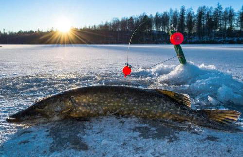 The Bluegill on Little Green Lake - Foto 52