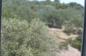 Apartments Vila Mileva - Foto 60