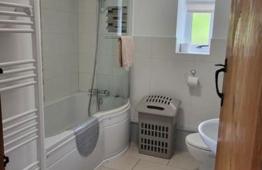 Bwthyn Plas Hafod Cottage - Photo 17