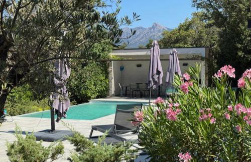 DOMAINE NAPOLEON CORSICA FIGARI - Foto 61