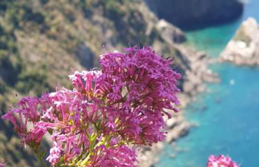 Il mare in casa - Foto 66